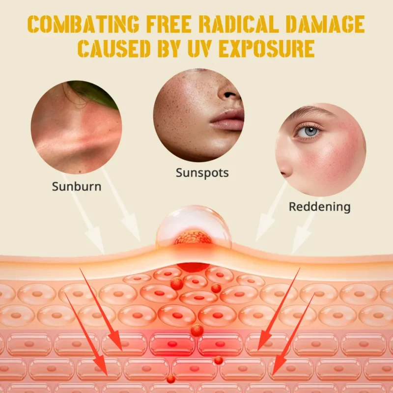 Disunie VC & Turmeric Sunscreen SPF 75 Wholesale | Bulk Supplier
