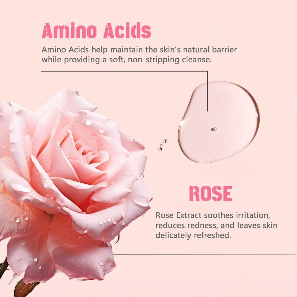 Main Ingredients of Disunie Rose & Hyaluronic Acid Facial Cleanser