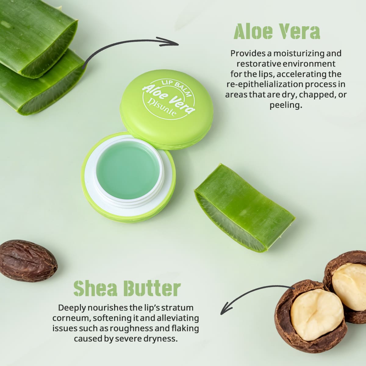 Disunie Aloe Vera Lip Balm | Wholesale & Distribution
